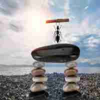 网‍站﻿安​全​实‌时‌监‌控‌